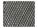 138 Black Mesh Silver Stardust